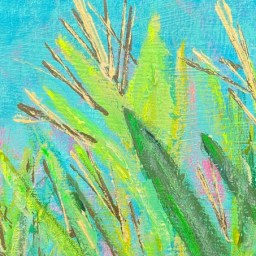 Peering Through The Field