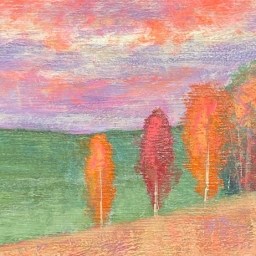 Autumn Morning Light