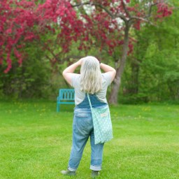 Holden Art Studio Blog