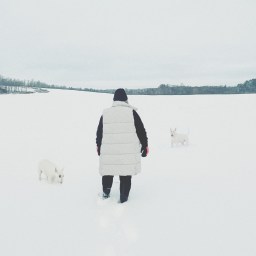 The Land, Life & Art